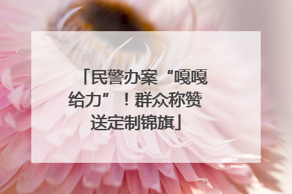 民警办案“嘎嘎给力”！群众称赞送定制锦旗