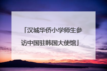 汉城华侨小学师生参访中国驻韩国大使馆