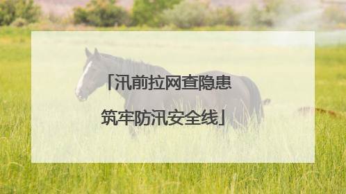 汛前拉网查隐患 筑牢防汛安全线