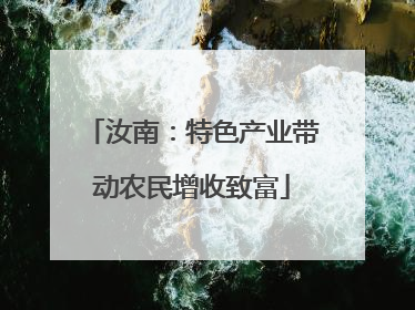 汝南：特色产业带动农民增收致富
