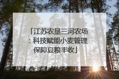 江苏农垦三河农场：科技赋能小麦管理保障夏粮丰收