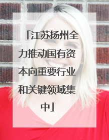 江苏扬州全力推动国有资本向重要行业和关键领域集中