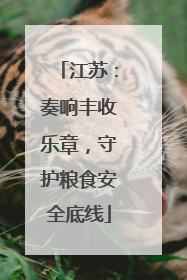 江苏：奏响丰收乐章，守护粮食安全底线