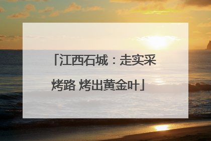 江西石城：走实采烤路 烤出黄金叶