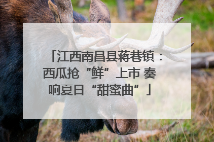 江西南昌县蒋巷镇：西瓜抢“鲜”上市 奏响夏日“甜蜜曲”