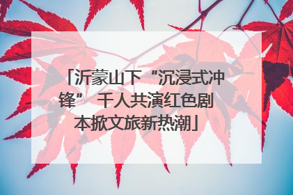 沂蒙山下“沉浸式冲锋” 千人共演红色剧本掀文旅新热潮