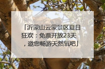 沂蒙山云蒙景区夏日狂欢：免票开放23天，邀您畅游天然氧吧