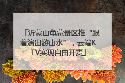沂蒙山龟蒙景区推“跟着演出游山水”，云端KTV实现自由开麦