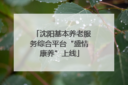 沈阳基本养老服务综合平台“盛情康养”上线