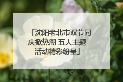 沈阳老北市双节同庆掀热潮 五大主题活动精彩纷呈