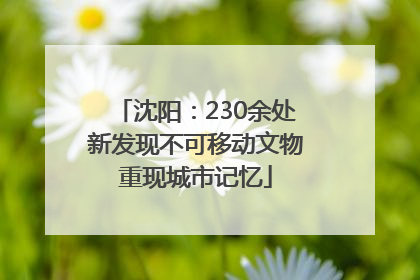 沈阳：230余处新发现不可移动文物重现城市记忆