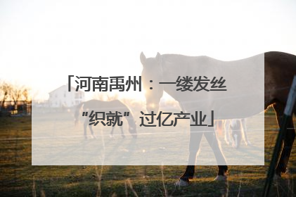 河南禹州：一缕发丝“织就”过亿产业