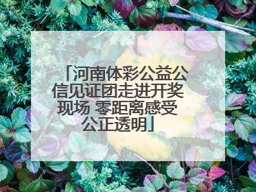 河南体彩公益公信见证团走进开奖现场 零距离感受公正透明