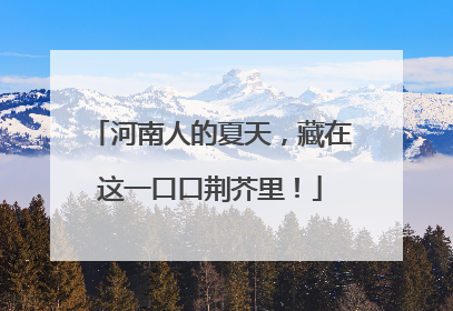 河南人的夏天，藏在这一口口荆芥里！