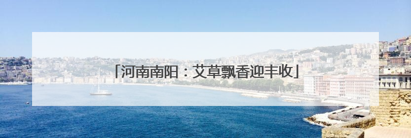 河南南阳：艾草飘香迎丰收