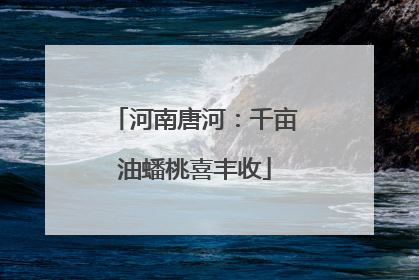 河南唐河：千亩油蟠桃喜丰收