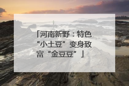 河南新野：特色“小土豆”变身致富“金豆豆”