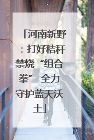 河南新野：打好秸秆禁烧“组合拳” 全力守护蓝天沃土