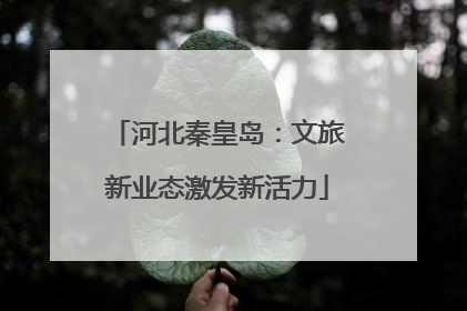 河北秦皇岛：文旅新业态激发新活力