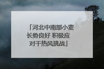 河北中南部小麦长势良好 积极应对干热风挑战