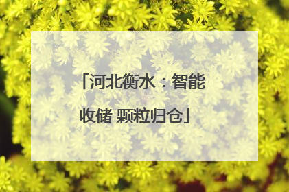 河北衡水：智能收储 颗粒归仓