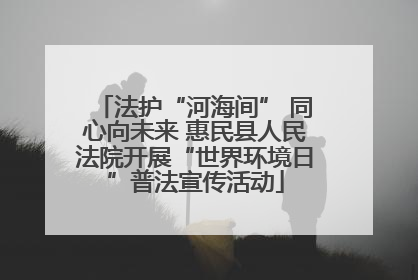 法护“河海间” 同心向未来 惠民县人民法院开展“世界环境日”普法宣传活动