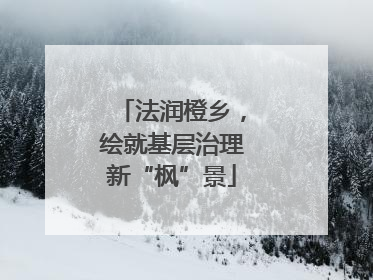 法润橙乡，绘就基层治理新“枫”景