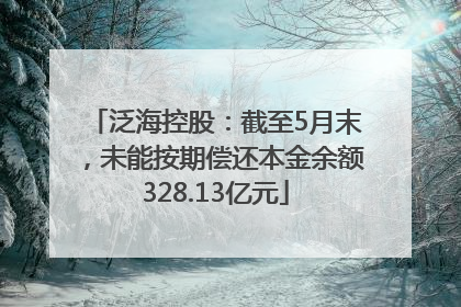 泛海控股：截至5月末，未能按期偿还本金余额328.13亿元