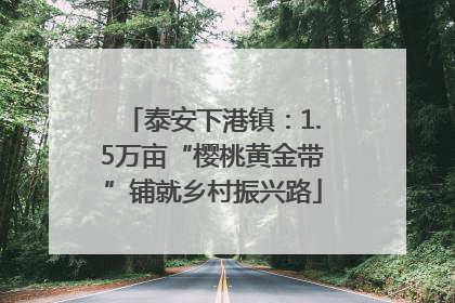泰安下港镇：1.5万亩“樱桃黄金带”铺就乡村振兴路