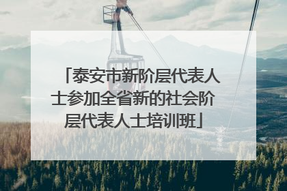 泰安市新阶层代表人士参加全省新的社会阶层代表人士培训班
