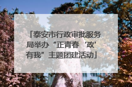 泰安市行政审批服务局举办“正青春‘政’有我”主题团建活动