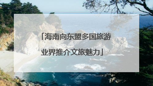 海南向东盟多国旅游业界推介文旅魅力