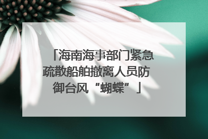 海南海事部门紧急疏散船舶撤离人员防御台风“蝴蝶”
