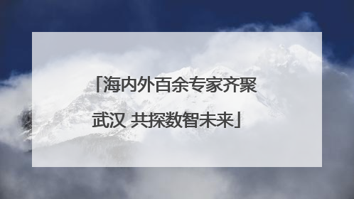 海内外百余专家齐聚武汉 共探数智未来
