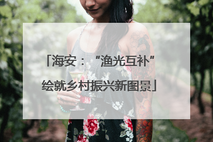 海安：“渔光互补” 绘就乡村振兴新图景