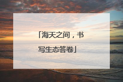 海天之间，书写生态答卷