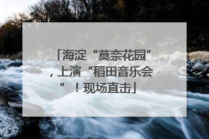 海淀“莫奈花园”，上演“稻田音乐会”！现场直击