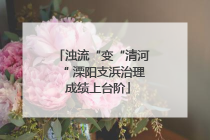 浊流“变“清河“ 溧阳支浜治理成绩上台阶