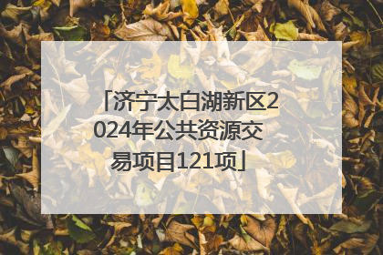 济宁太白湖新区2024年公共资源交易项目121项
