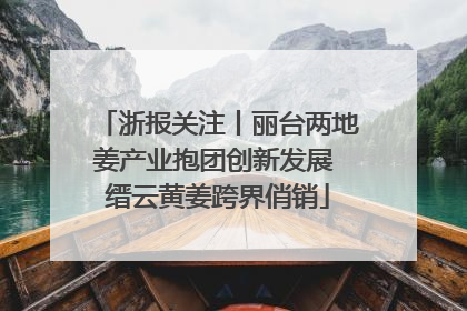 浙报关注丨丽台两地姜产业抱团创新发展 缙云黄姜跨界俏销