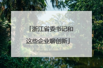 浙江省委书记和这些企业聊创新