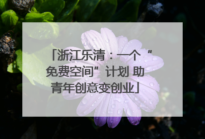 浙江乐清：一个“免费空间”计划 助青年创意变创业