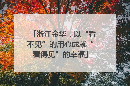 浙江金华：以“看不见”的用心成就“看得见”的幸福