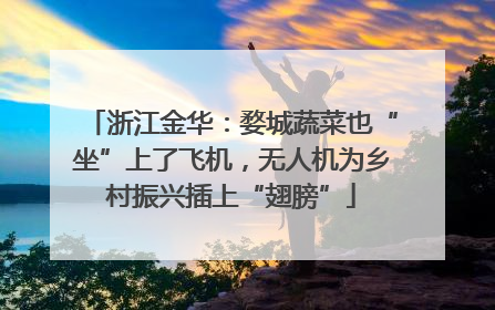 浙江金华：婺城蔬菜也“坐”上了飞机，无人机为乡村振兴插上“翅膀”