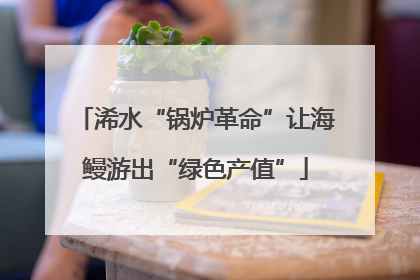 浠水“锅炉革命”让海鳗游出“绿色产值”