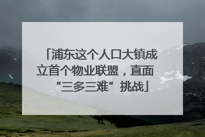 浦东这个人口大镇成立首个物业联盟，直面“三多三难”挑战