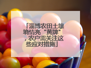 淄博农田土壤墒情亮“黄牌”，农户需关注这些应对措施