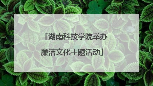 湖南科技学院举办廉洁文化主题活动