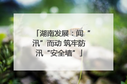 湖南发展：闻“汛”而动 筑牢防汛“安全墙”