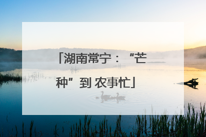 湖南常宁：“芒种”到 农事忙